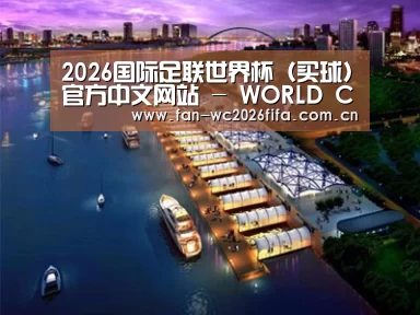 案例展示八