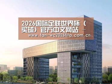 案例展示四