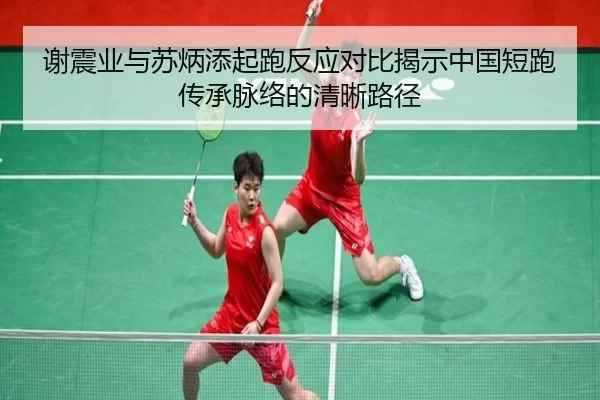 谢震业与苏炳添起跑反应对比揭示中国短跑传承脉络的清晰路径