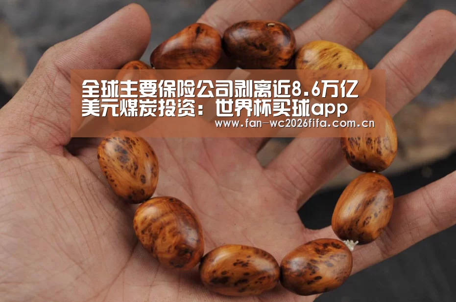 全球主要保险公司剥离近8.6万亿美元煤炭投资:世界杯买球app(图4) 世界杯买球