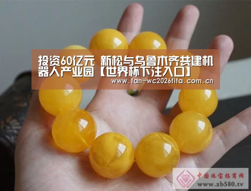 世界杯下注入口