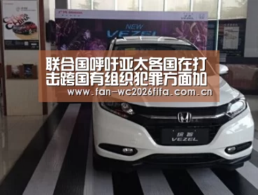 联合国呼吁亚太各国在打击跨国有组织犯罪方面加强合作:世界杯买球(图1) 世界杯下注入口